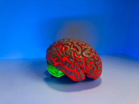 Human Mind - brain figurine